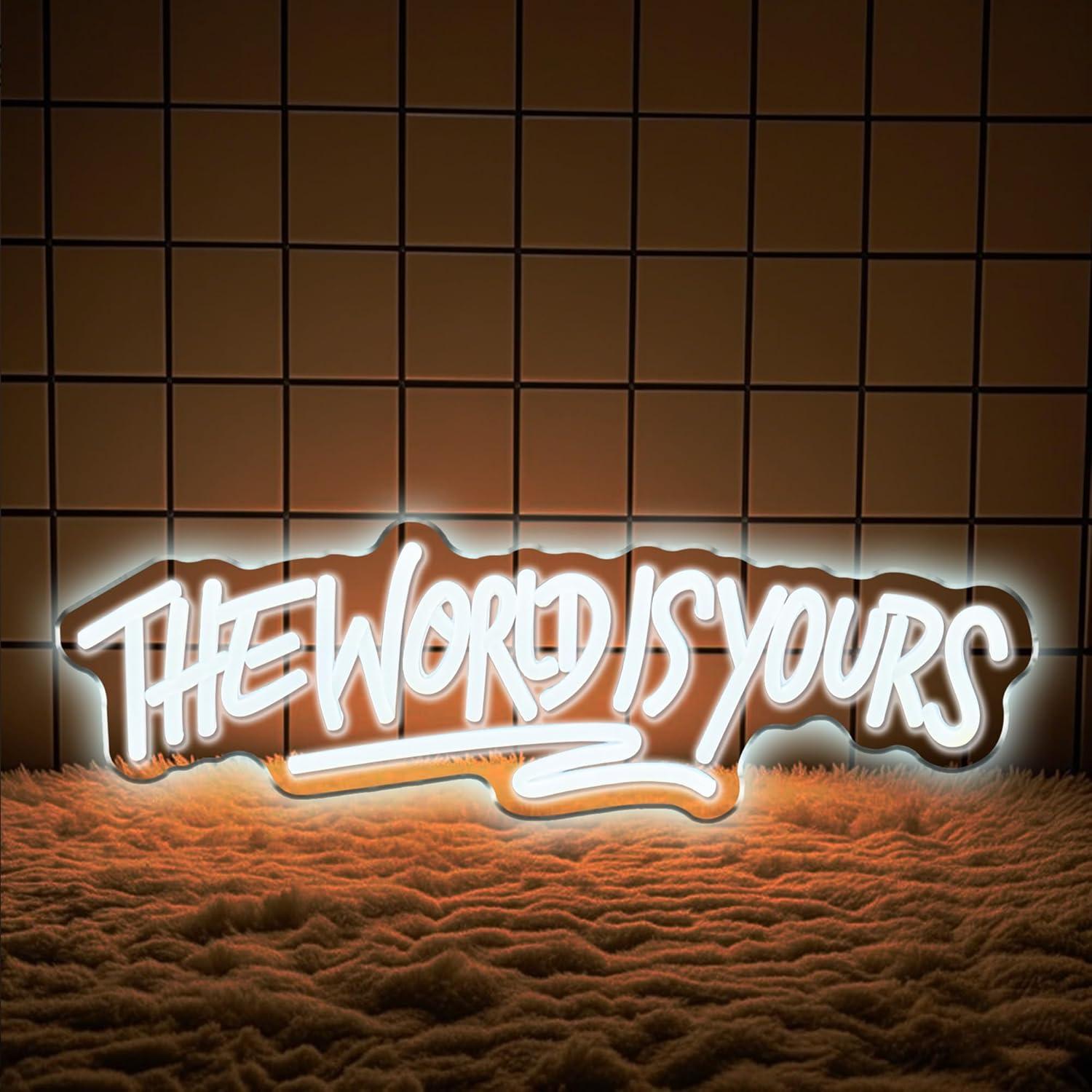 세상은 당신의 것 네온사인 USB 전원 디밍 가능 LE - Neon Sign Party 리뷰 및 가격